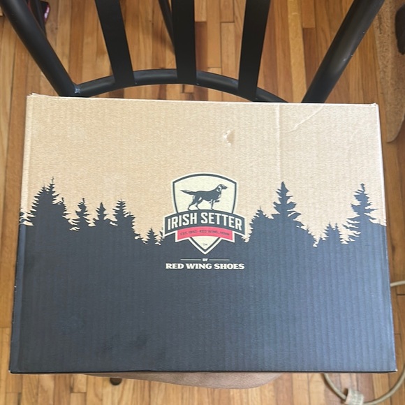 Irish Setter Shoe Box with Black and Tan Design